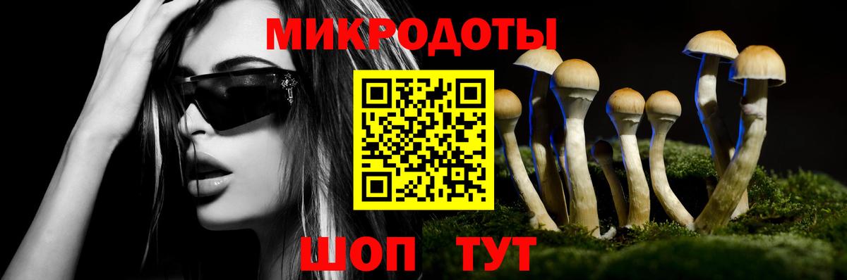 Галлюциногенные грибы Psilocybine cubensis  Вход с VPN  Прокопьевск  Галлюциногенные грибы прущие грибы 